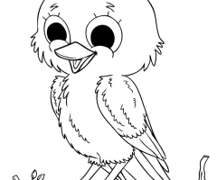 Coloriage bebe oiseau