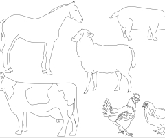 Coloriage animaux de la ferme